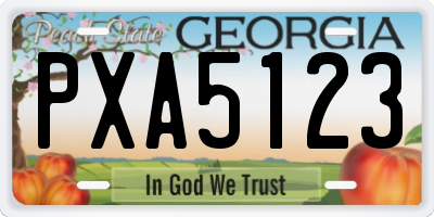 GA license plate PXA5123