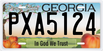 GA license plate PXA5124