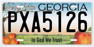 GA license plate PXA5126