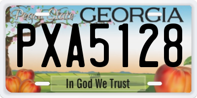 GA license plate PXA5128