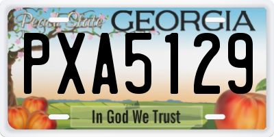 GA license plate PXA5129