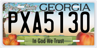 GA license plate PXA5130