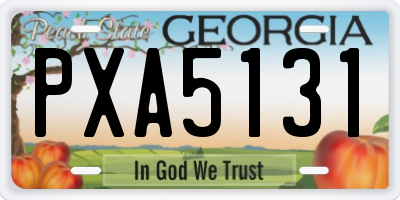 GA license plate PXA5131