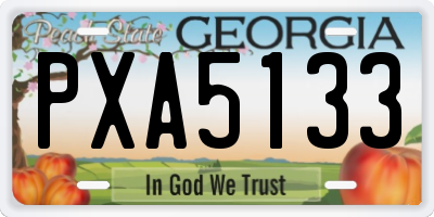 GA license plate PXA5133