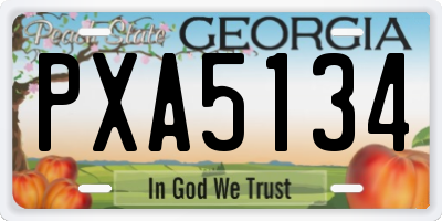 GA license plate PXA5134