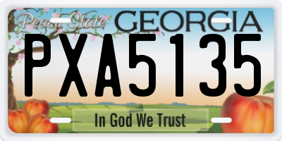 GA license plate PXA5135