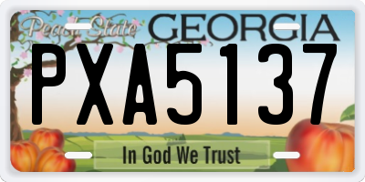 GA license plate PXA5137