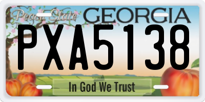 GA license plate PXA5138