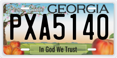 GA license plate PXA5140