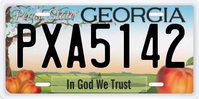 GA license plate PXA5142