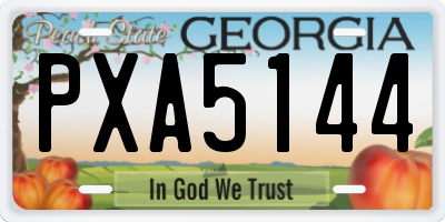 GA license plate PXA5144