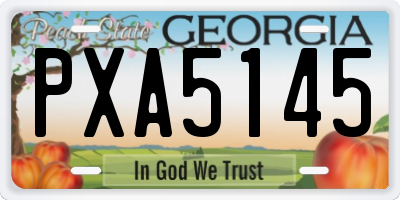 GA license plate PXA5145
