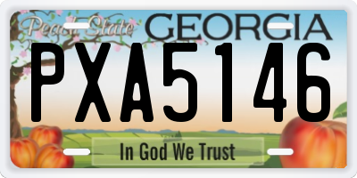 GA license plate PXA5146