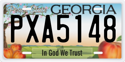 GA license plate PXA5148