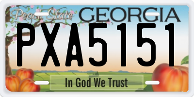 GA license plate PXA5151