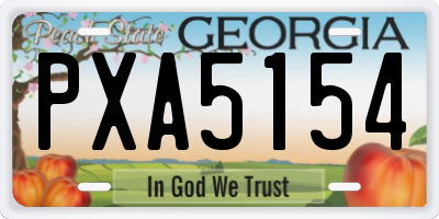 GA license plate PXA5154