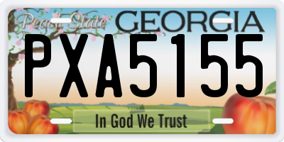 GA license plate PXA5155