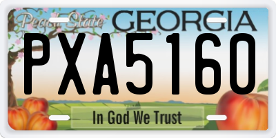 GA license plate PXA5160