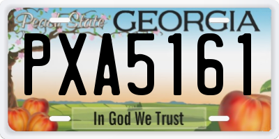 GA license plate PXA5161
