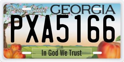 GA license plate PXA5166