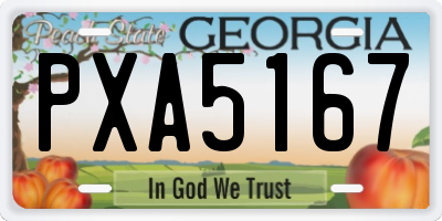 GA license plate PXA5167