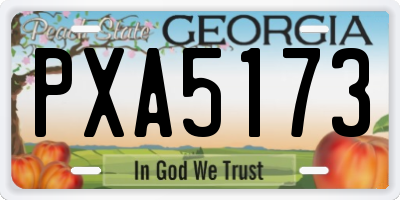 GA license plate PXA5173