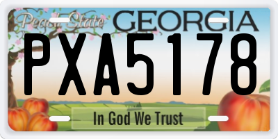 GA license plate PXA5178