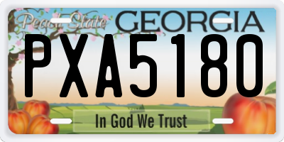 GA license plate PXA5180
