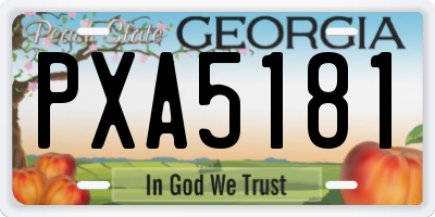 GA license plate PXA5181