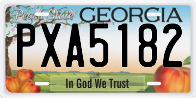 GA license plate PXA5182