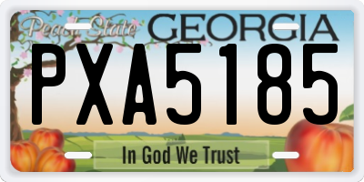 GA license plate PXA5185
