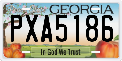GA license plate PXA5186