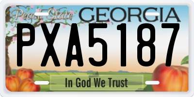 GA license plate PXA5187