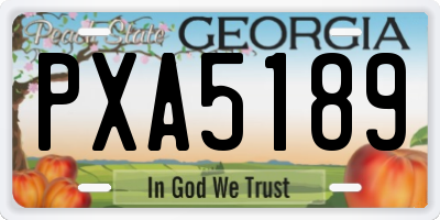 GA license plate PXA5189