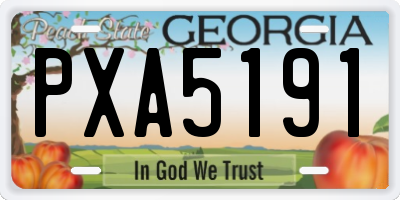 GA license plate PXA5191