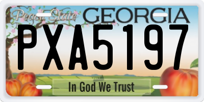 GA license plate PXA5197