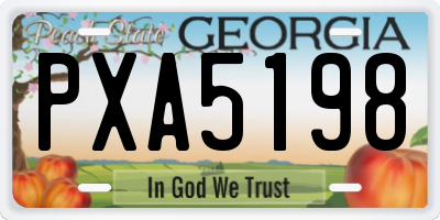 GA license plate PXA5198