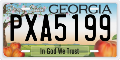 GA license plate PXA5199