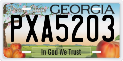GA license plate PXA5203
