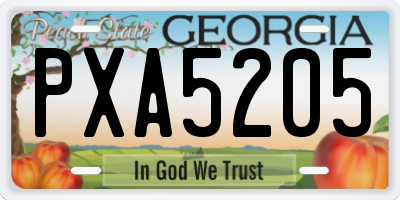 GA license plate PXA5205