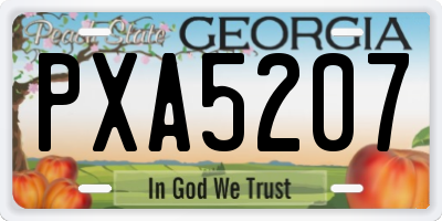 GA license plate PXA5207