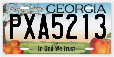 GA license plate PXA5213