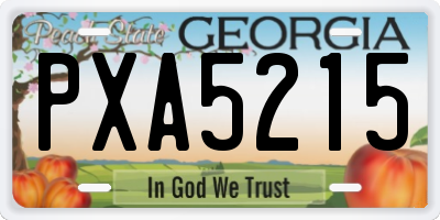 GA license plate PXA5215