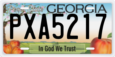 GA license plate PXA5217
