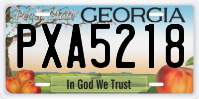 GA license plate PXA5218