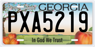 GA license plate PXA5219
