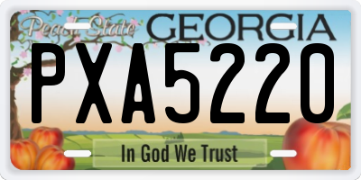 GA license plate PXA5220