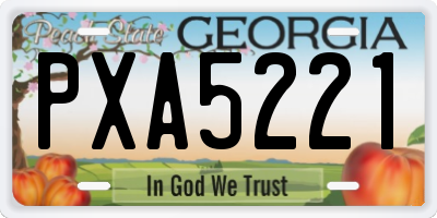 GA license plate PXA5221