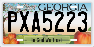 GA license plate PXA5223