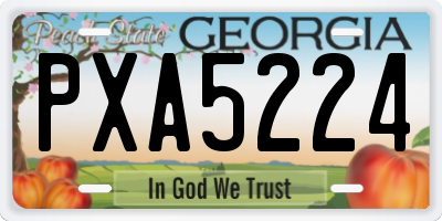 GA license plate PXA5224